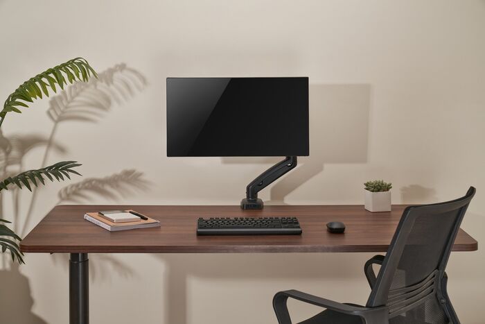 Essentials skjáarmur með gormi