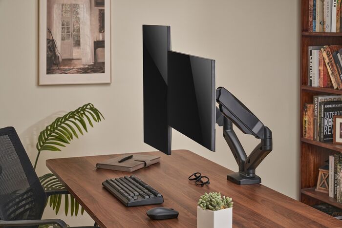 Essentials tvöfaldur skjáarmur með gormum