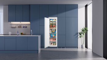 Epoq frystiskápur til innbyggingar ETF177I24D