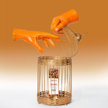 Exsens Tiger Eye Macadamia nuddolía - 100ml 