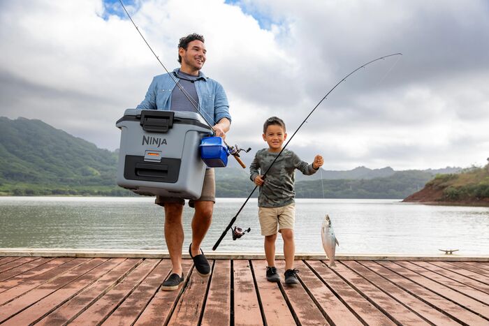 Ninja FrostVault kælibox 28 lítra - Grátt