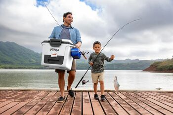 Ninja FrostVault kælibox 28 lítra - Hvítt 