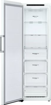LG frystiskápur GFT41SWGSZ - Hvítur 
