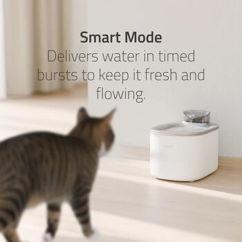 Hombli Gæludýra Vatnsbrunnur