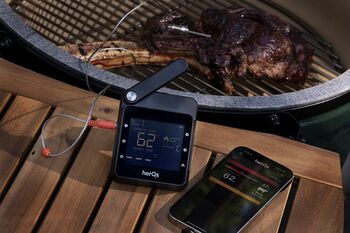 HerQs Professional kjöthitamælir 