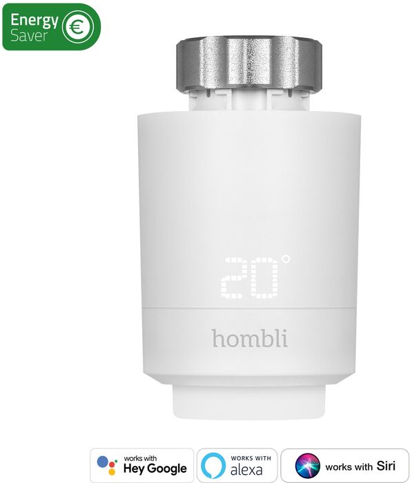 Hombli snjallofnastillir 