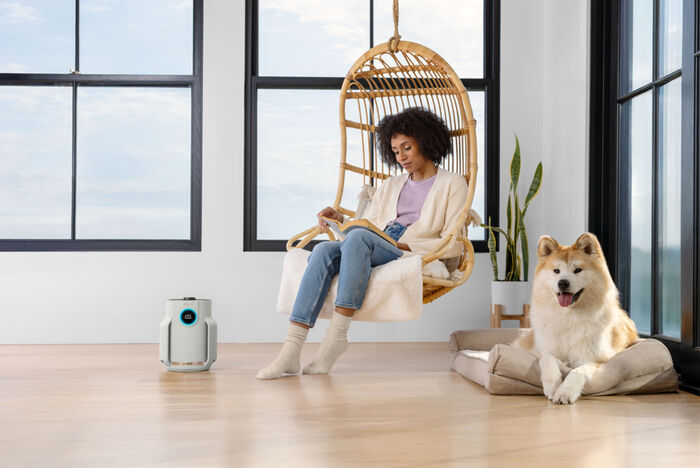 Shark NeverChange Lofhreinsitæki