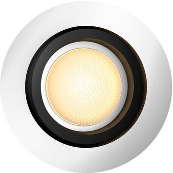 Philips Hue Milliskin White Ambiance loftljós - Stál