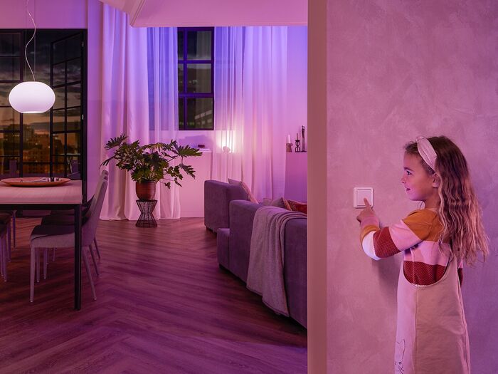 Philips Hue veggrofi