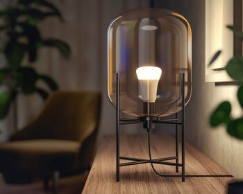 Philips Hue E27 A60 lita snjallpera - 2 stk