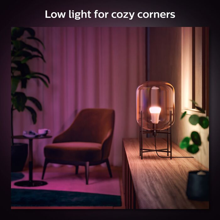 Philips Hue E27 A60 lita snjallpera - 2 stk