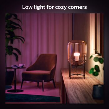 Philips Hue E27 A60 lita snjallpera - 2 stk