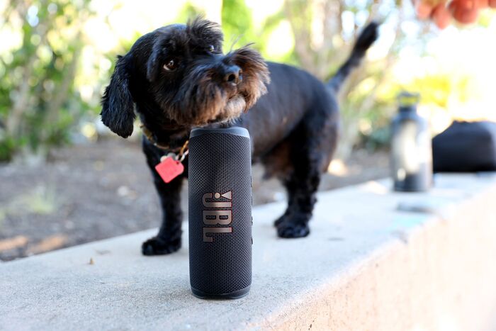 JBL Flip 6 ferðahátalari - Svartur