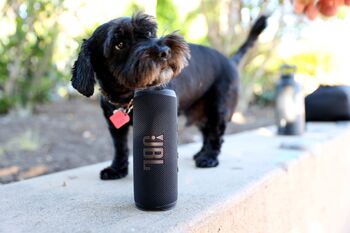 JBL Flip 6 ferðahátalari - Svartur