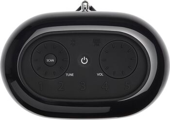 JBL Tuner XL útvarp - Svart