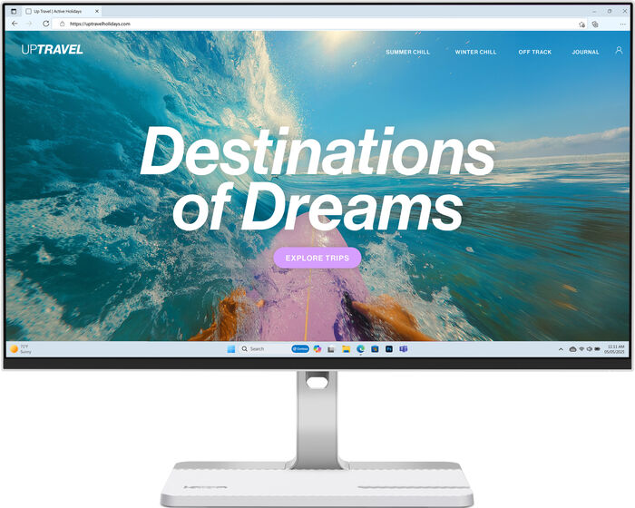 LENOVO 24" L24D-4C FHD IPS skjár