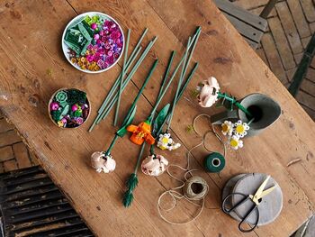 LEGO Botanicals Blómavöndur 10280