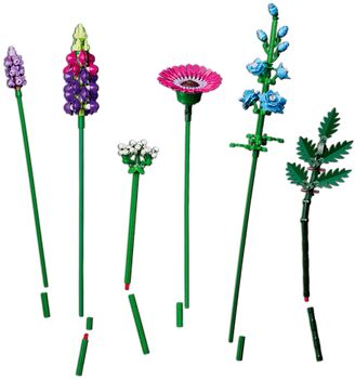 LEGO Botanicals Villiblómavöndur 10313