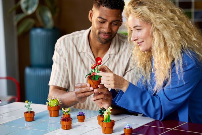Product image not available for LEGO Botanicals litlar plöntur 10329