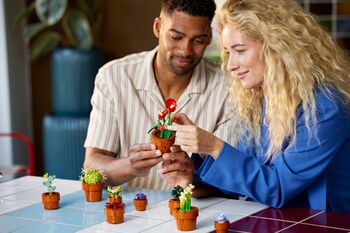 Product image not available for LEGO Botanicals litlar plöntur 10329