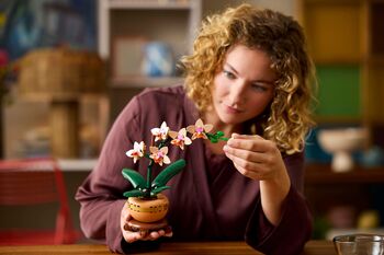 LEGO Botanicals Smá-Orkídeur 10343