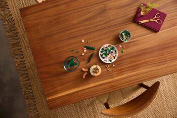 LEGO Botanicals Smá-Orkídeur 10343