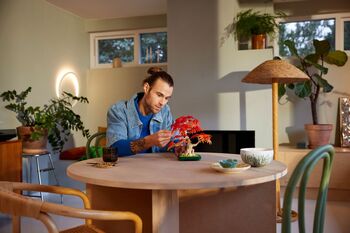 LEGO Botanicals rautt japanskt Bonsai hlyntré 10348