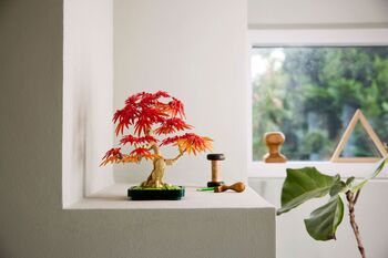 LEGO Botanicals rautt japanskt Bonsai hlyntré 10348