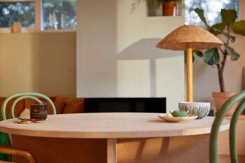 LEGO Botanicals rautt japanskt Bonsai hlyntré 10348