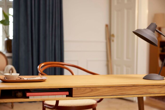 LEGO Icons Leonardo da Vinci’s Flying Machine 10363