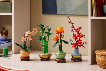 Product image not available for LEGO Botanicals Körfublóm 10368