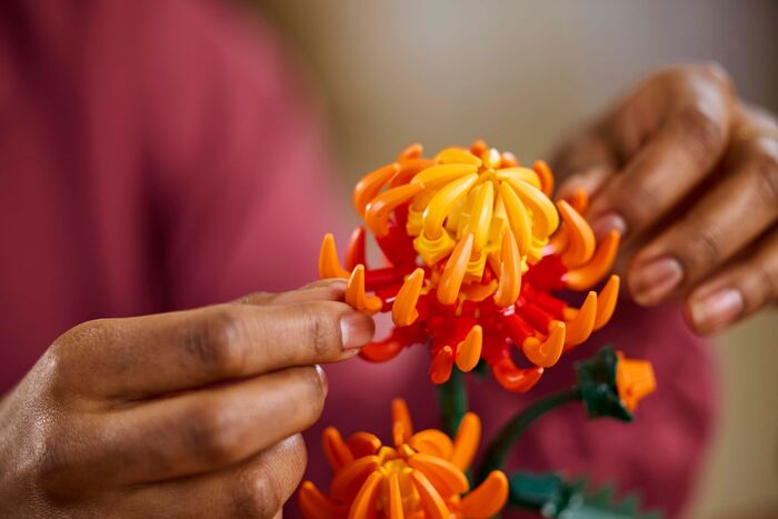 Product image not available for LEGO Botanicals Körfublóm 10368
