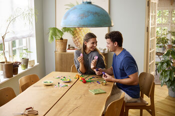 LEGO Botanicals Túlipanavöndur 11501