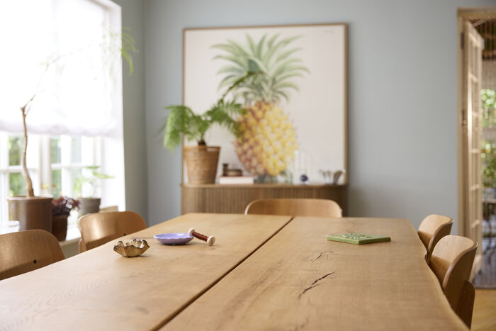 LEGO Botanicals Túlipanavöndur 11501