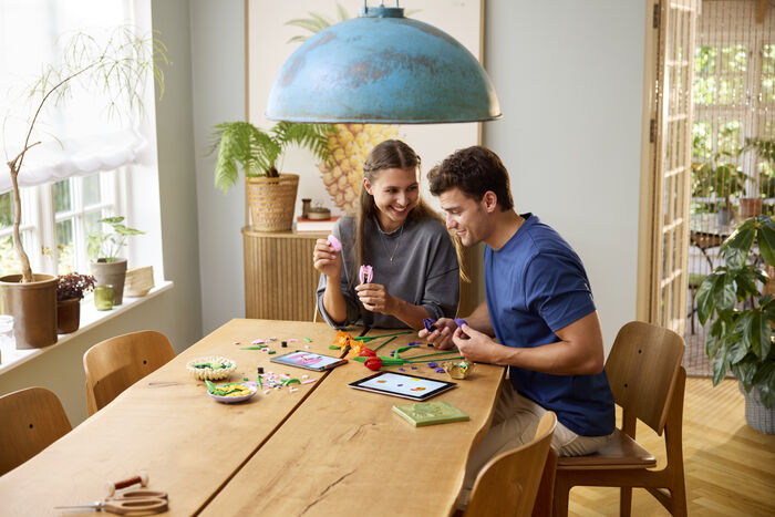 LEGO Botanicals Túlipanavöndur 11501