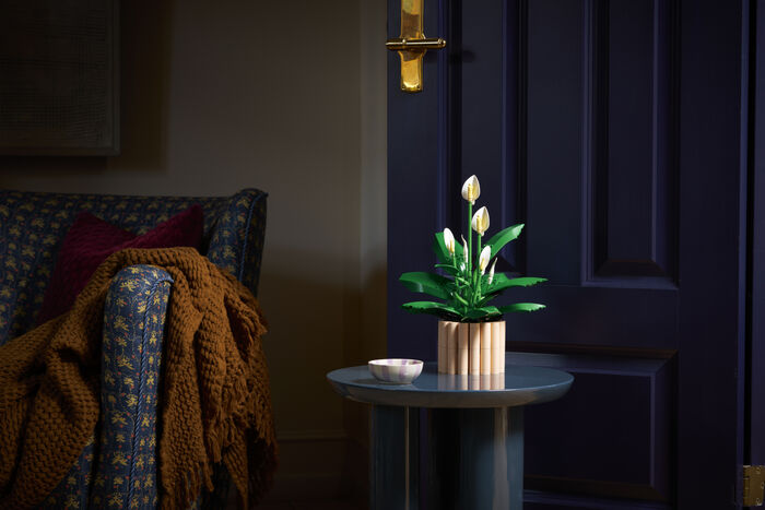 LEGO Botanicals Friðarlilja 11504