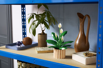 LEGO Botanicals Friðarlilja 11504