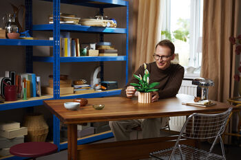 LEGO Botanicals Friðarlilja 11504