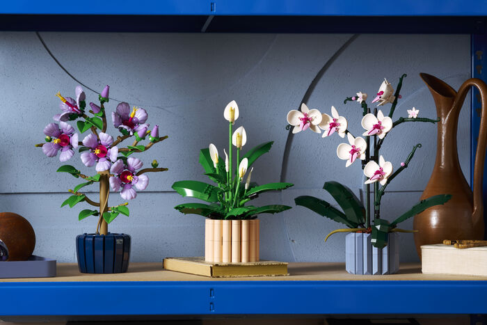 LEGO Botanicals Friðarlilja 11504