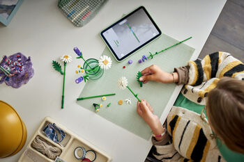 LEGO Botanicals Daggarblóm 11508