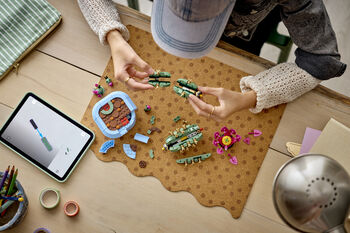 LEGO Botanicals Blómstrandi kaktus 11509