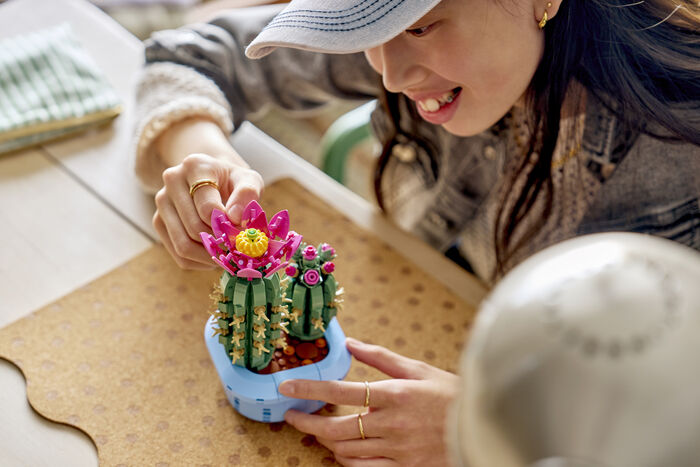 LEGO Botanicals Blómstrandi kaktus 11509