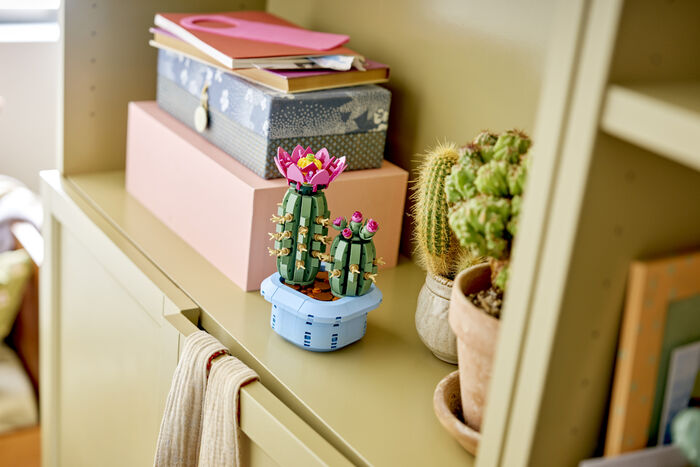 LEGO Botanicals Blómstrandi kaktus 11509