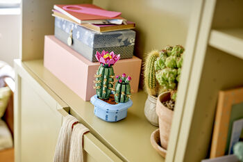 LEGO Botanicals Blómstrandi kaktus 11509