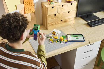 LEGO Minecraft Hænuknapi 21582