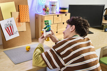LEGO Minecraft Hænuknapi 21582