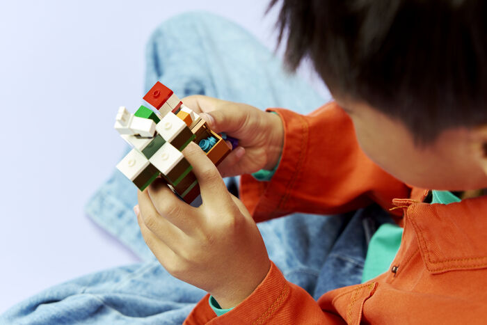 LEGO Minecraft ævintýri Steve í Taiga 21583