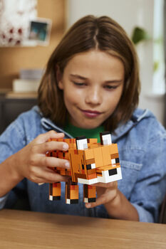 LEGO Minecraft refur 21588 