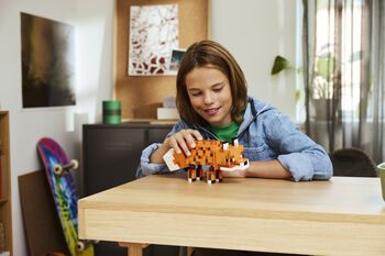 LEGO Minecraft refur 21588 