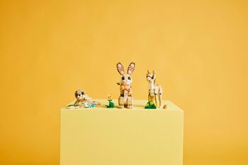 LEGO Creator 3in1 Kanína 31162